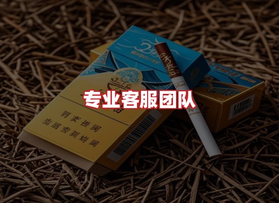 专业团队